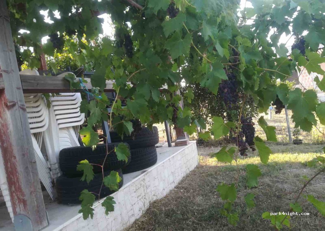 (04011) Fossignano - 64 Via Aniene — foto 3