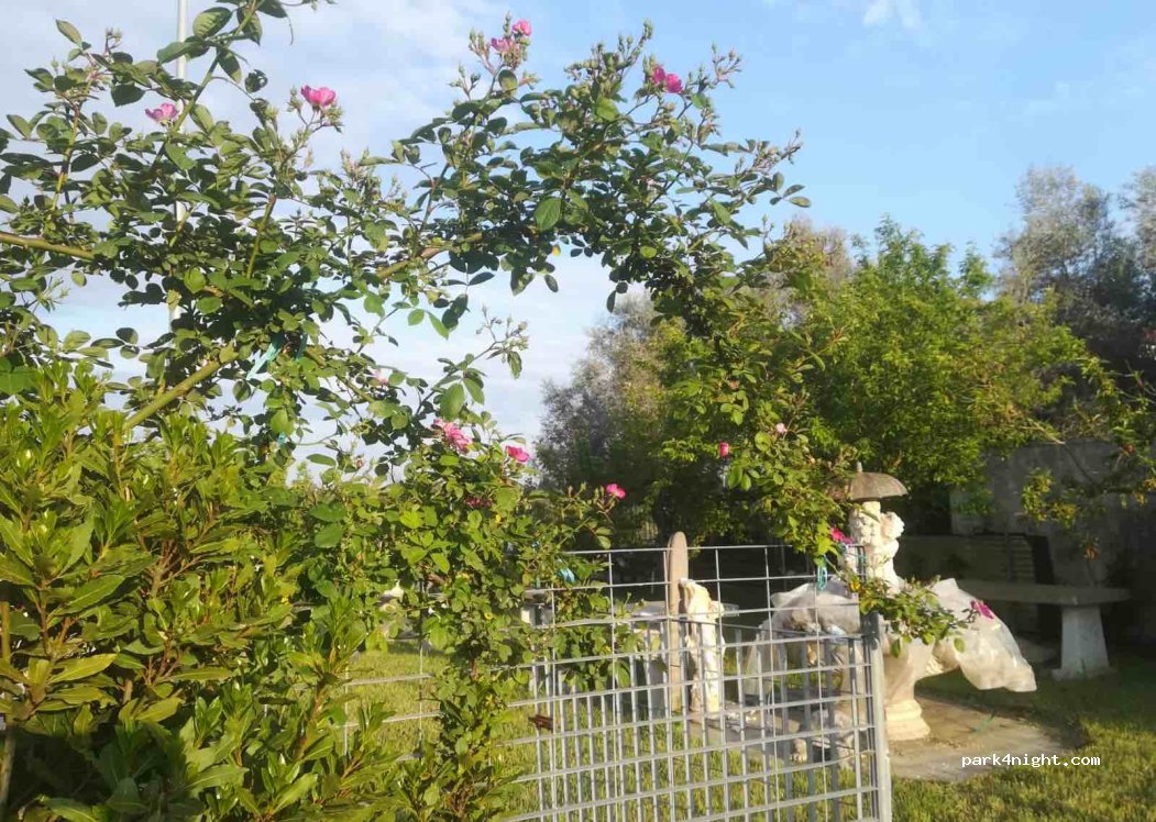 (04011) Fossignano - 64 Via Aniene — foto 4