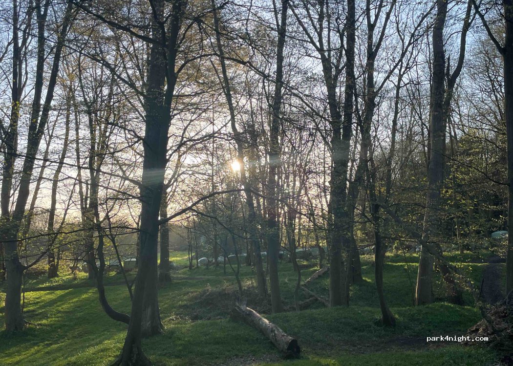 (CM3 4SD) Little Baddow - Spring Elms Lane — foto 2