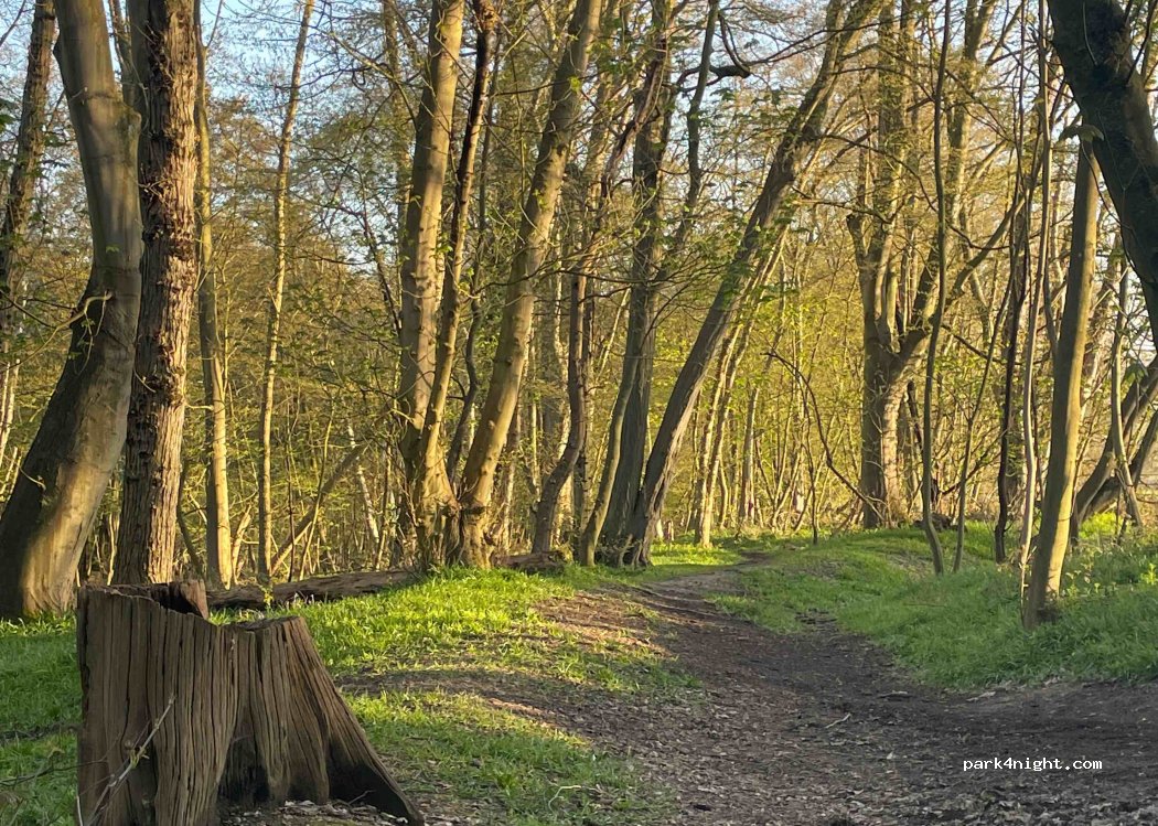 (CM3 4SD) Little Baddow - Spring Elms Lane — foto 3