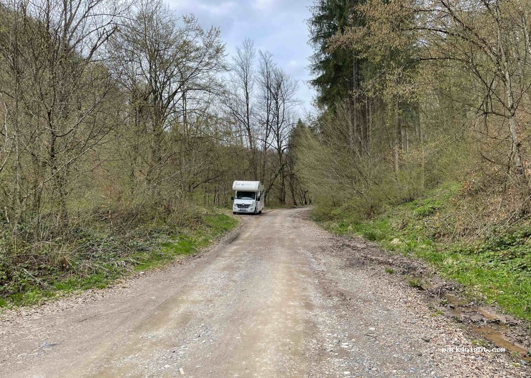 (317220) Moneasa - Unnamed Road — foto