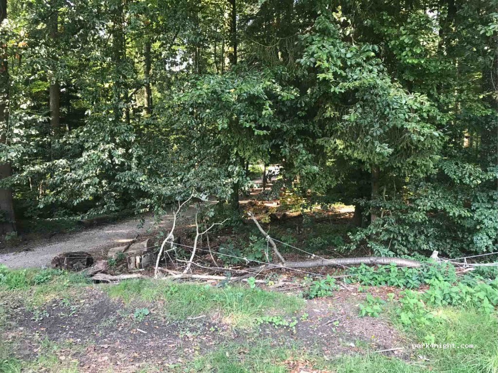 (8115) Hüttikon - Wiedstrasse — foto 3