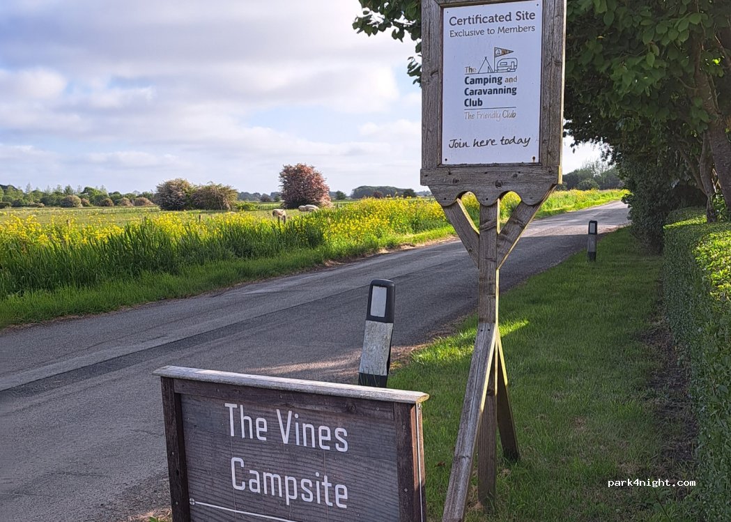 The Vines Campsite — foto 3