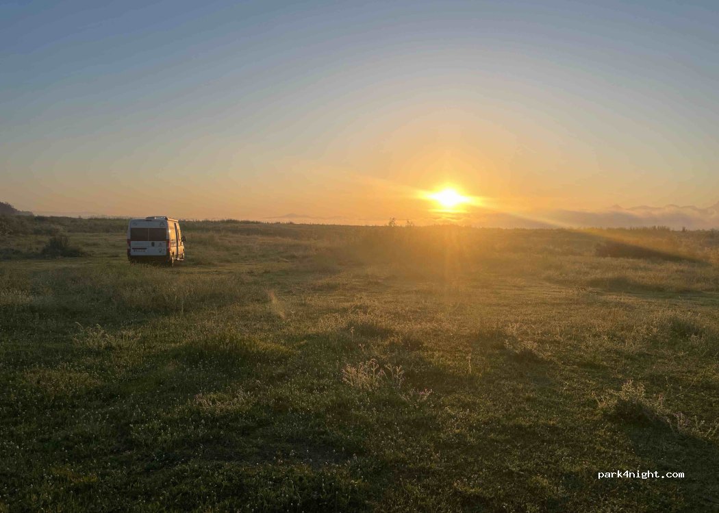 (11640) Bornos - — foto