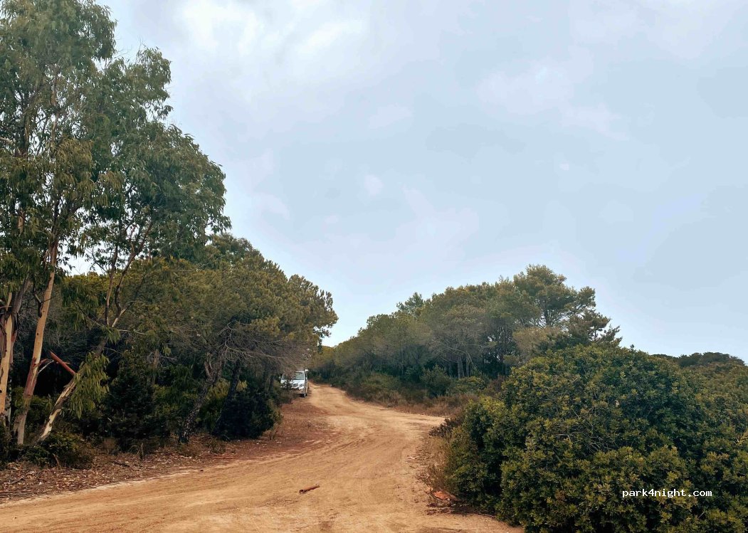 (08029) Siniscola - Unnamed Road — foto 4