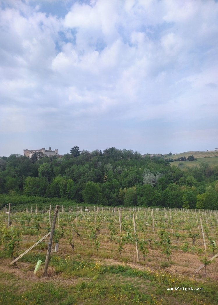 (14055) Costigliole D'asti - Strada Asti — foto