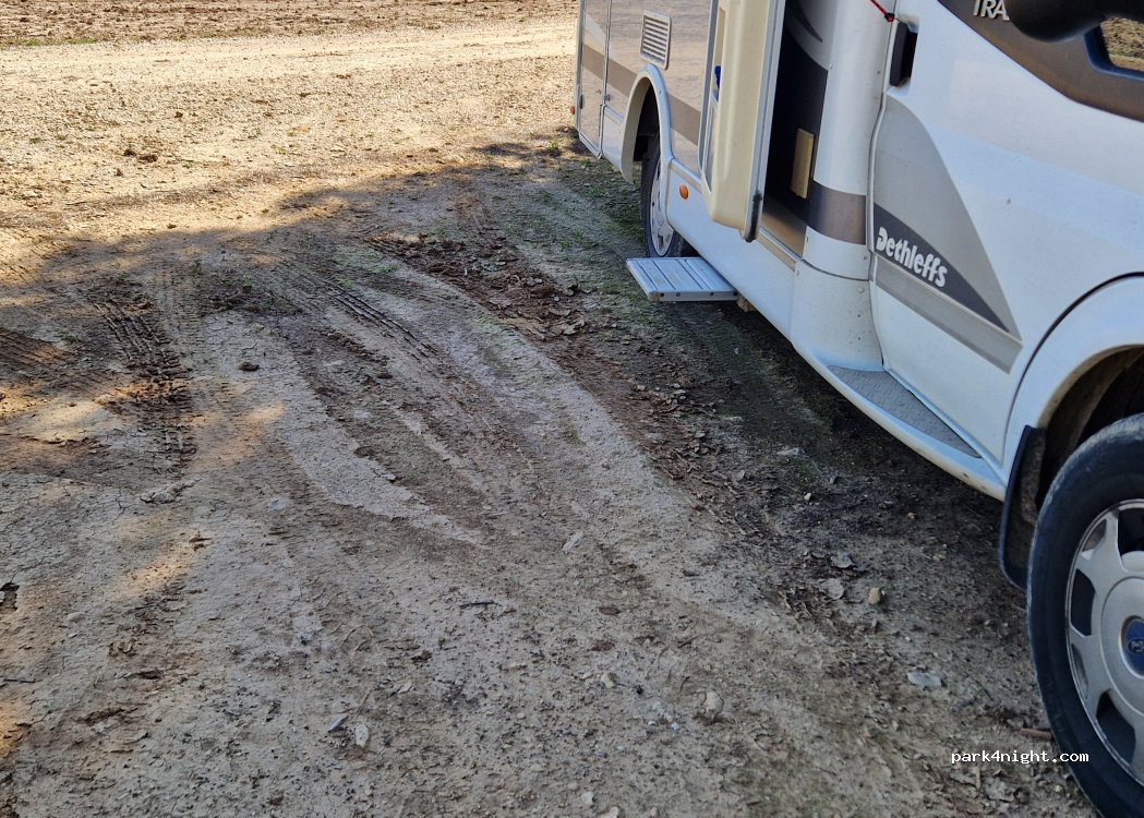 (02640) Almansa - — foto 4
