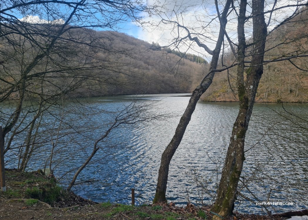 (9665) Lac de la Haute-Sûre - 20 N26 — foto 3