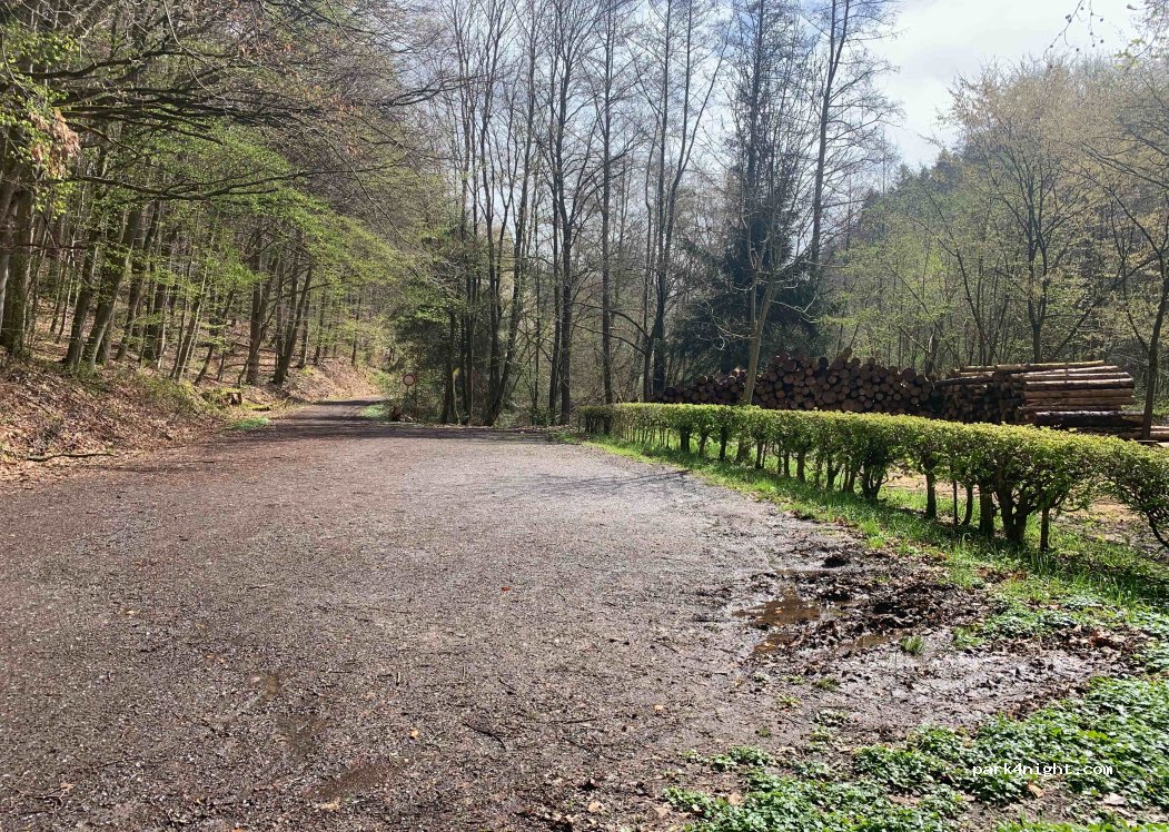 (64395) Brensbach - Unnamed Road — foto