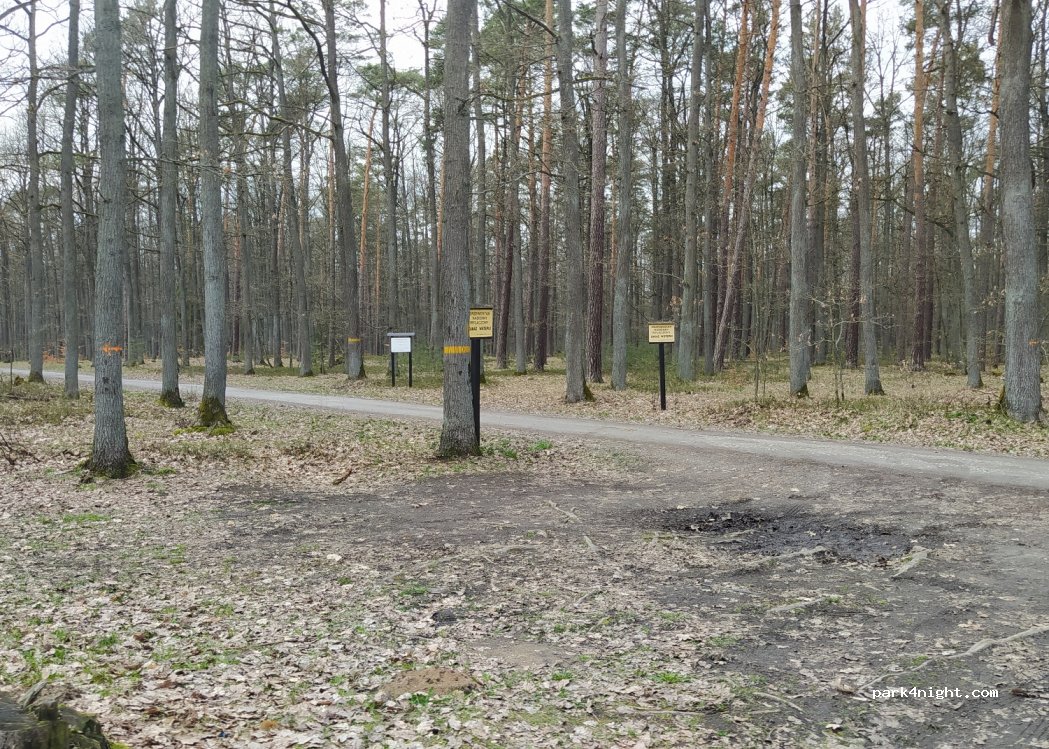 (63-620) Piotrówka - 39 — foto 3