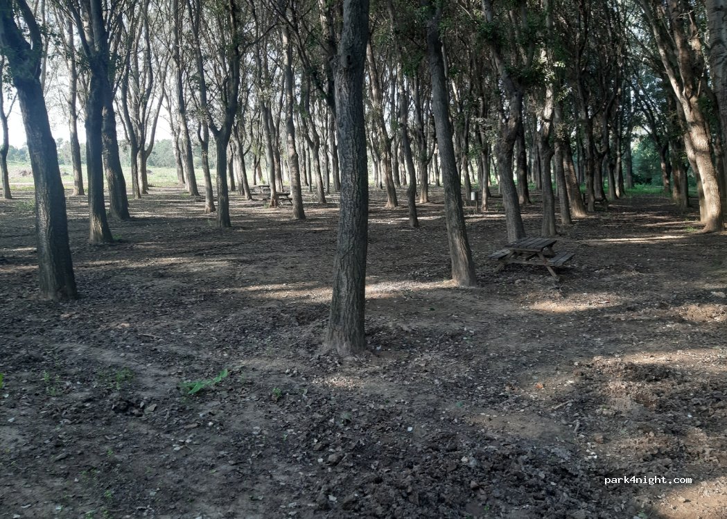 (50668) Pradilla de Ebro - — foto