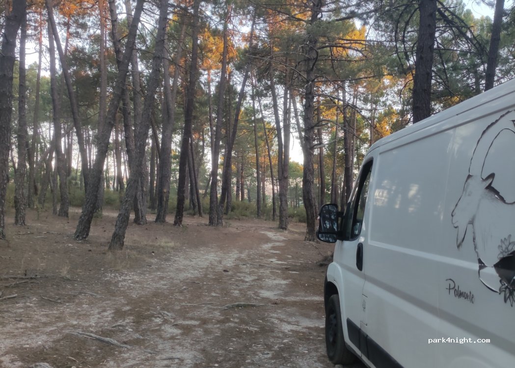 (16140) Villalba de la Sierra - — foto