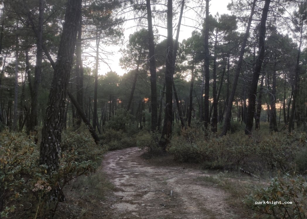 (16140) Villalba de la Sierra - — foto 2