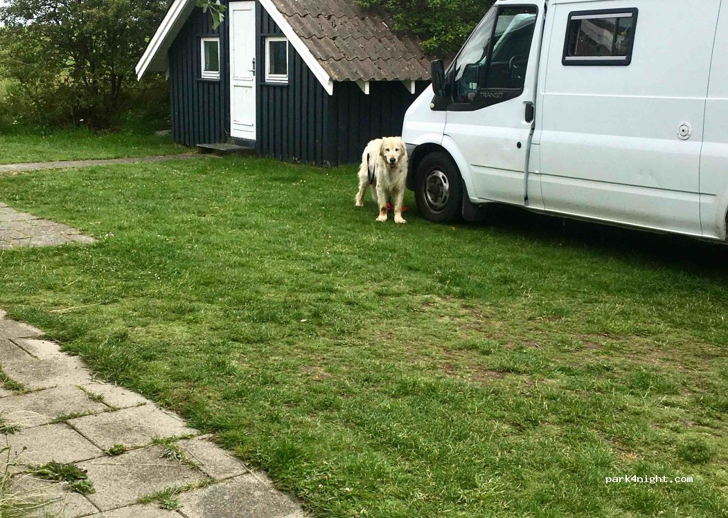 (6760) Ribe - 4 Vester Bjergvej — foto 3