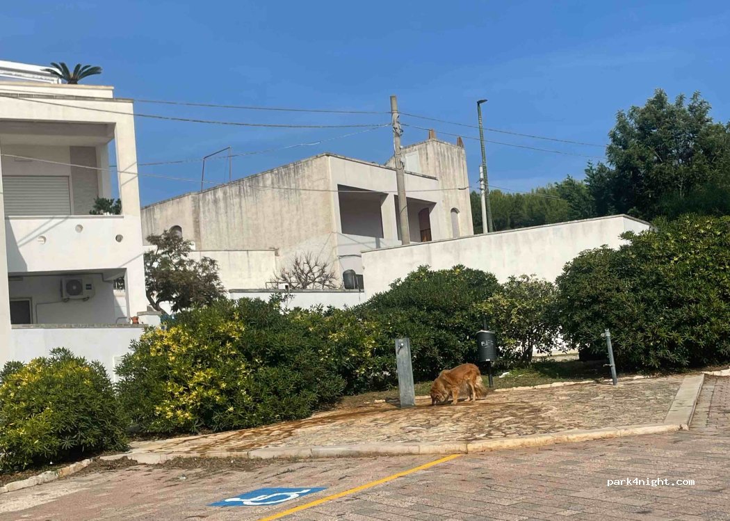 (73031) Novaglie - 29 Via A. Doria — foto 2