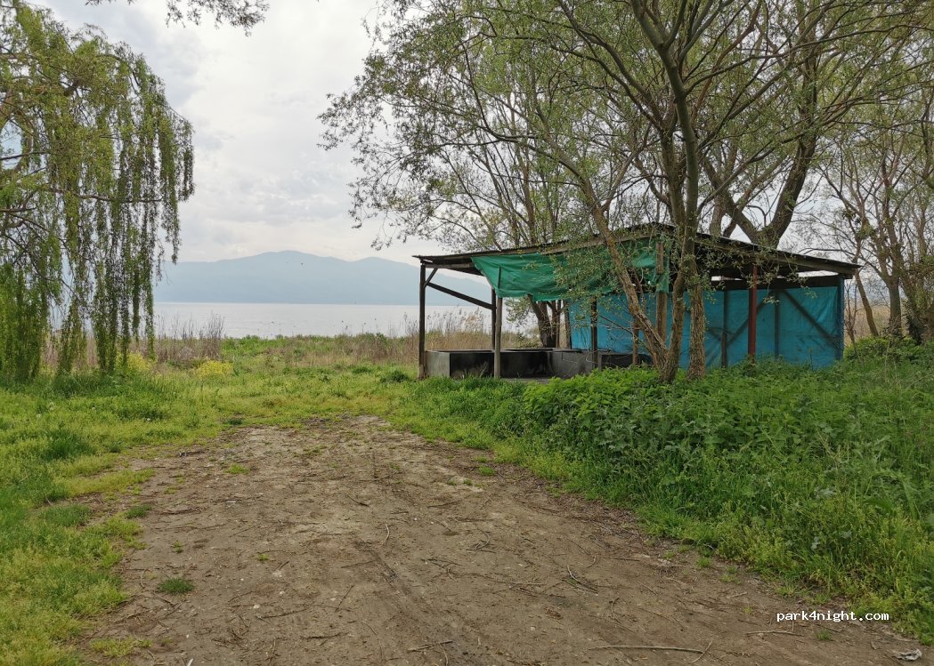 (16810) Çakırlı - — foto