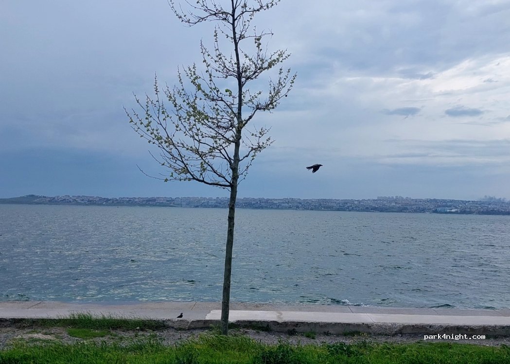 (34528) Beylikdüzü - 8 Dalyan Caddesi — foto 2