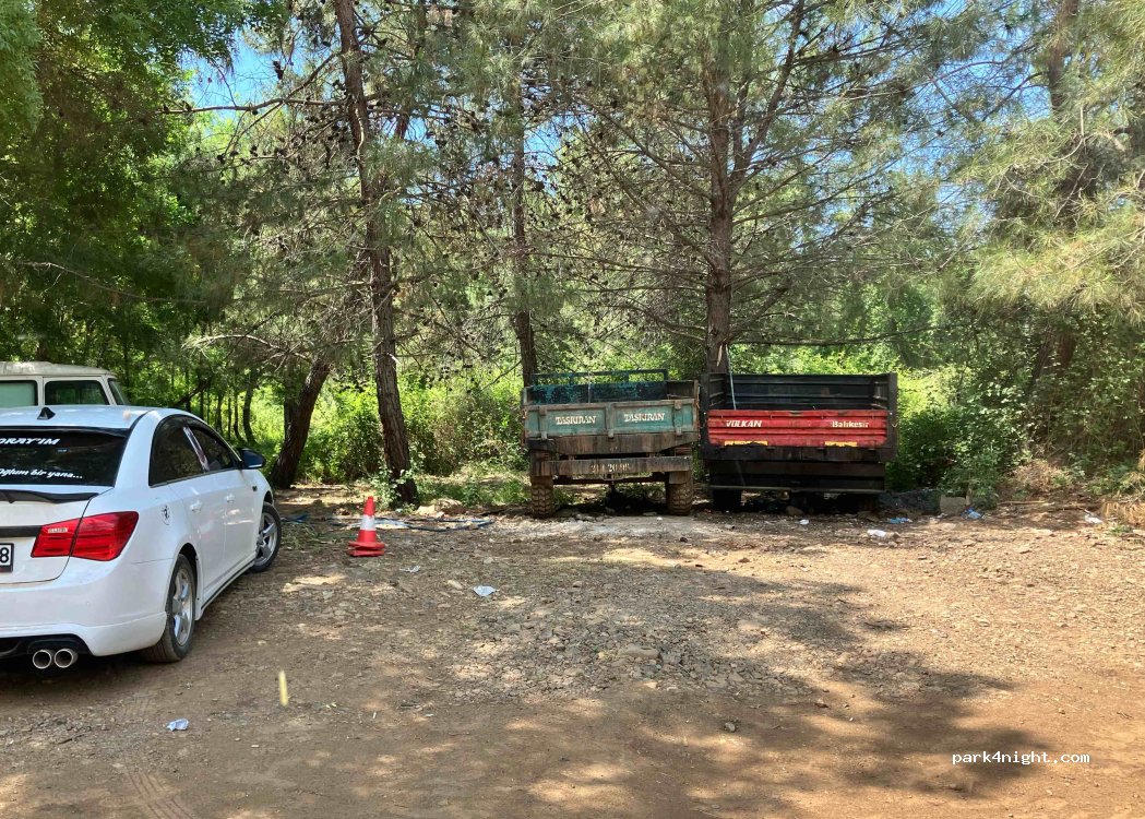 (48770) Şerefler - — foto 3