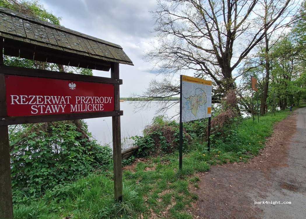 (56-300) Nowe Grodzisko - Unnamed Road — foto 4