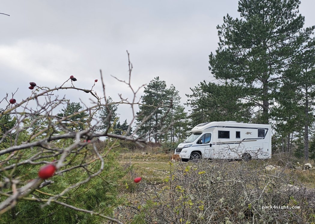 (53011) Castellina in Chianti - — foto 2