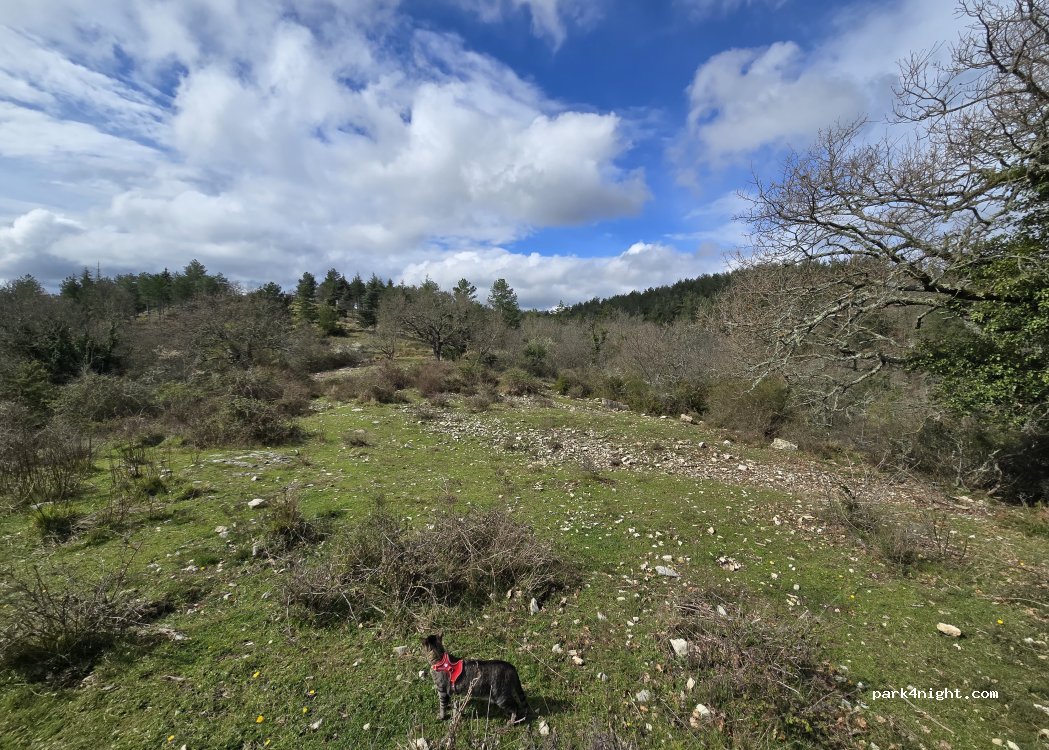 (53011) Castellina in Chianti - — foto 5