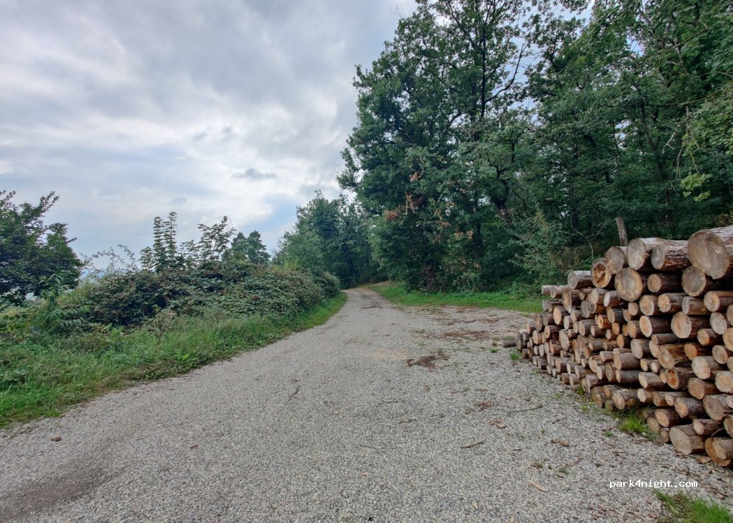(68590) Saint-Hippolyte - D1B1 — foto 4