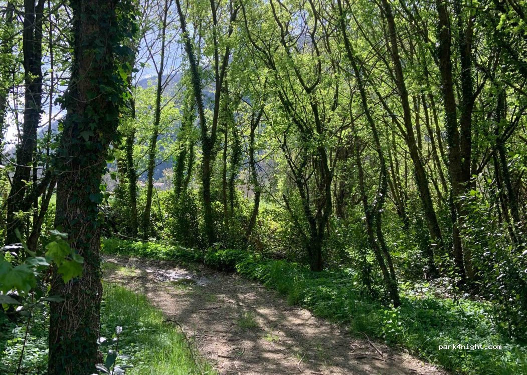 (54013) Fivizzano - Unnamed Road — foto 2
