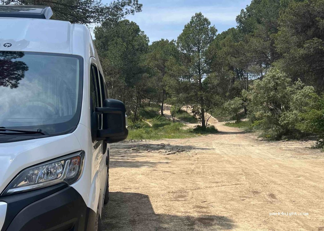 (08788) Santa Margarida de Montbui - Unnamed Road — foto 5