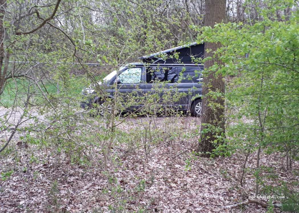 (8166) Emst - Pollenseveenweg — foto 3