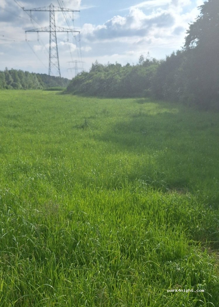 () Lelystad - — foto 4