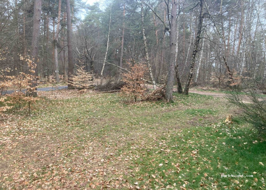 (48130) Peyre en Aubrac - — foto