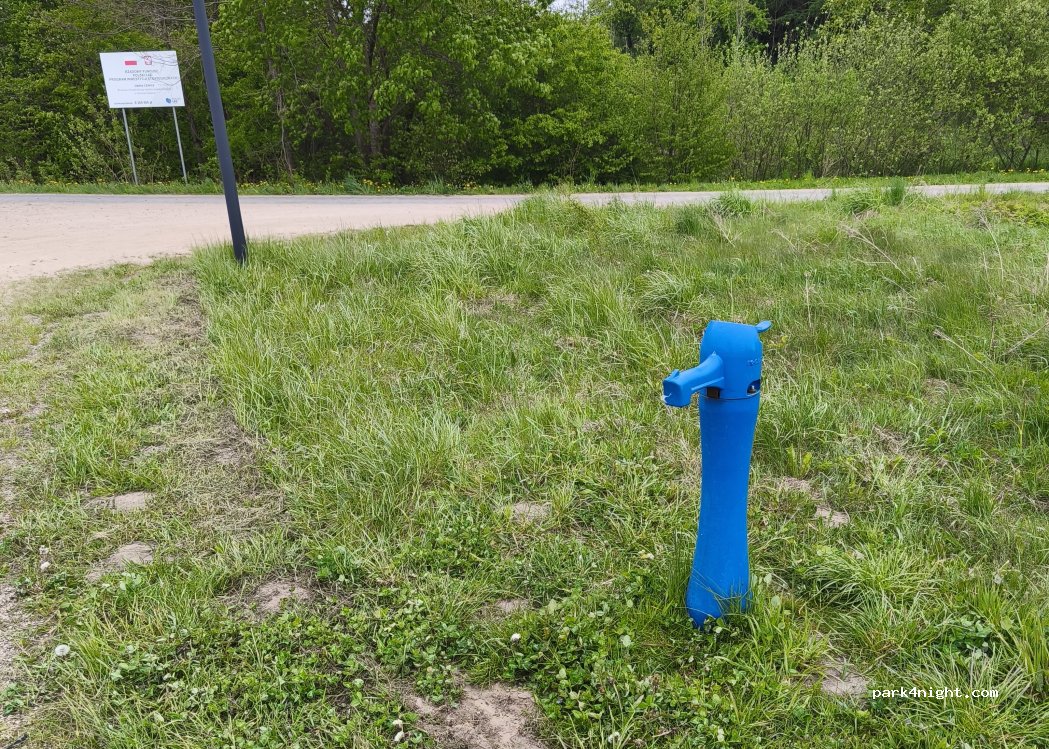 (84-311) Bukowina - Unnamed Road — foto 5
