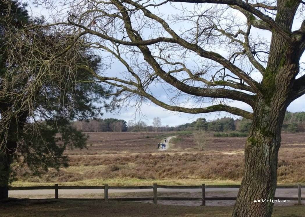 (1251 SE) Laren - 2 Zuiderheide — foto