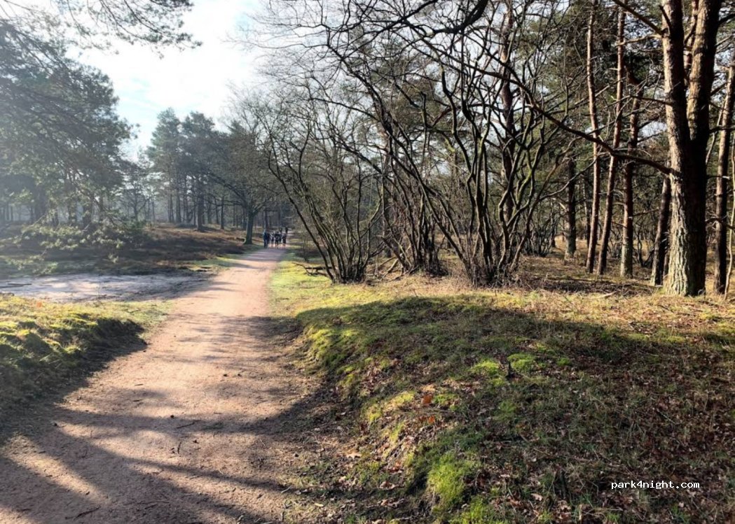 (1251 SE) Laren - 2 Zuiderheide — foto 2