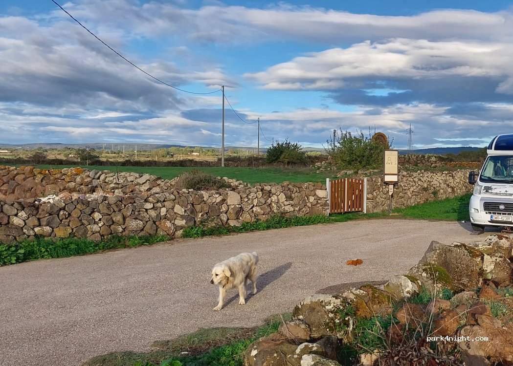 (08016) Borore - Strada di Imbertighe — foto 3