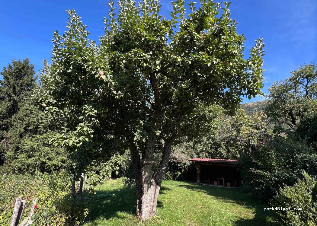 Camping à la Ferme — foto 4