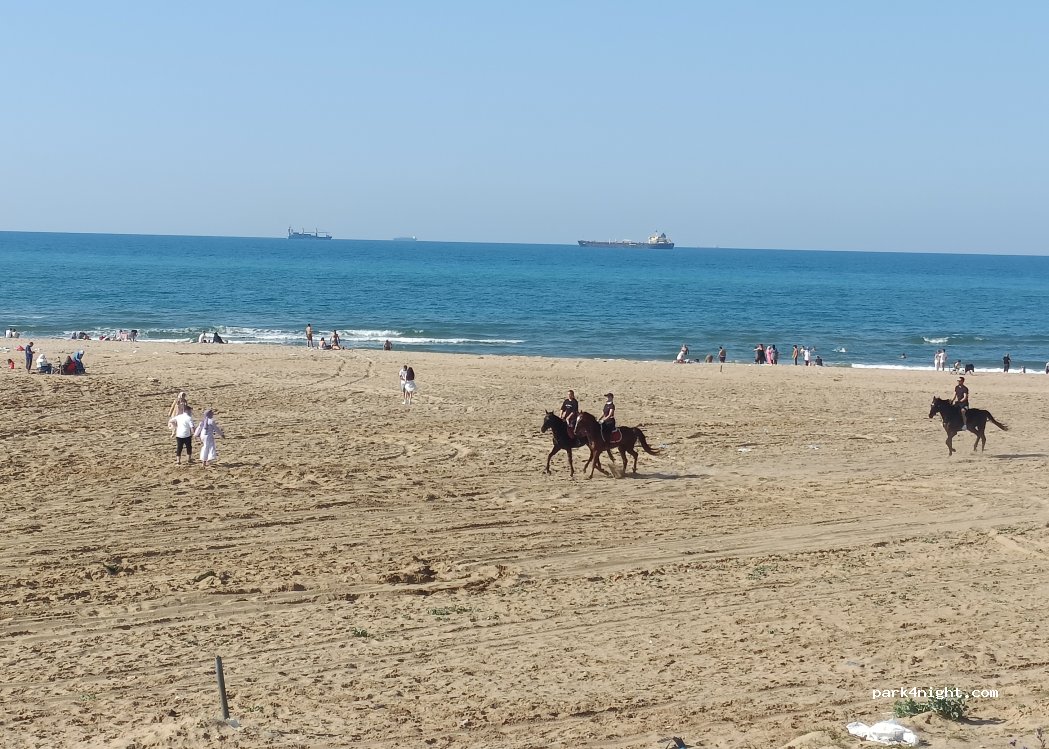 (34450) Kısırkaya - — foto 3