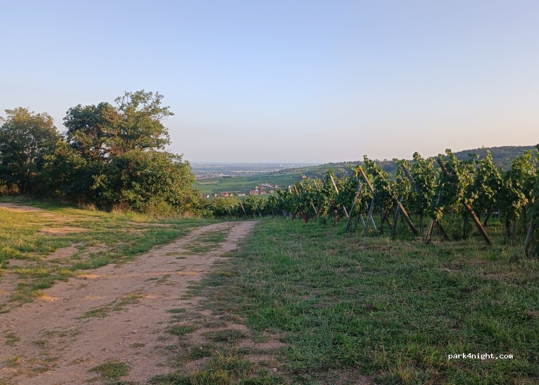 (68590) Saint-Hippolyte - — foto 2