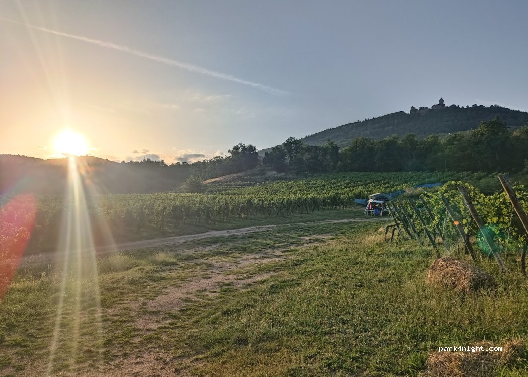 (68590) Saint-Hippolyte - — foto 3