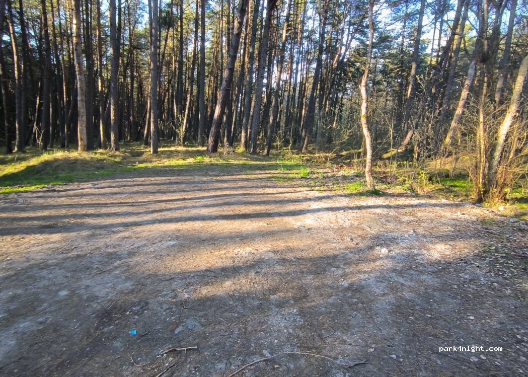 (238535) Morskoe - — foto