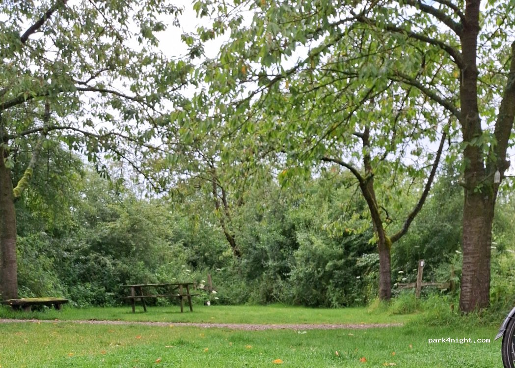 Den Ouden Dam — foto