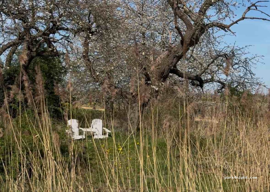 Den Ouden Dam — foto 5
