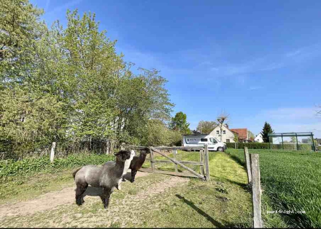 (34434) Borgentreich - Schloßstraße — foto
