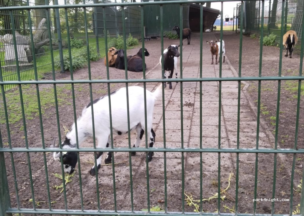 (5143 NJ) Waalwijk - 1 Hoefsvenlaan — foto 4