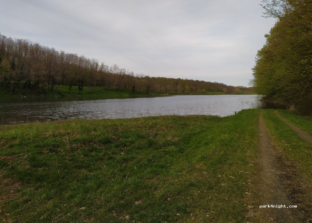 (31418) Borovik - — foto