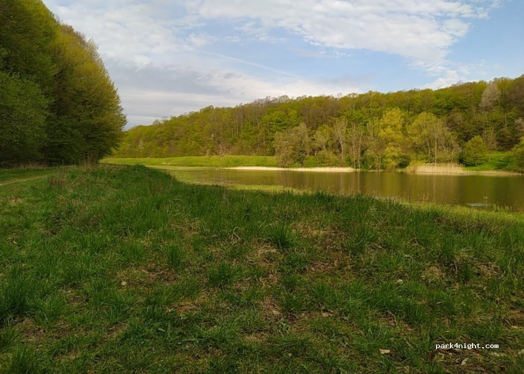 (31418) Borovik - — foto 2