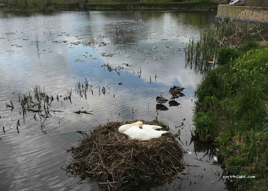 (PE29 2HB) Godmanchester - 4a Causeway — foto