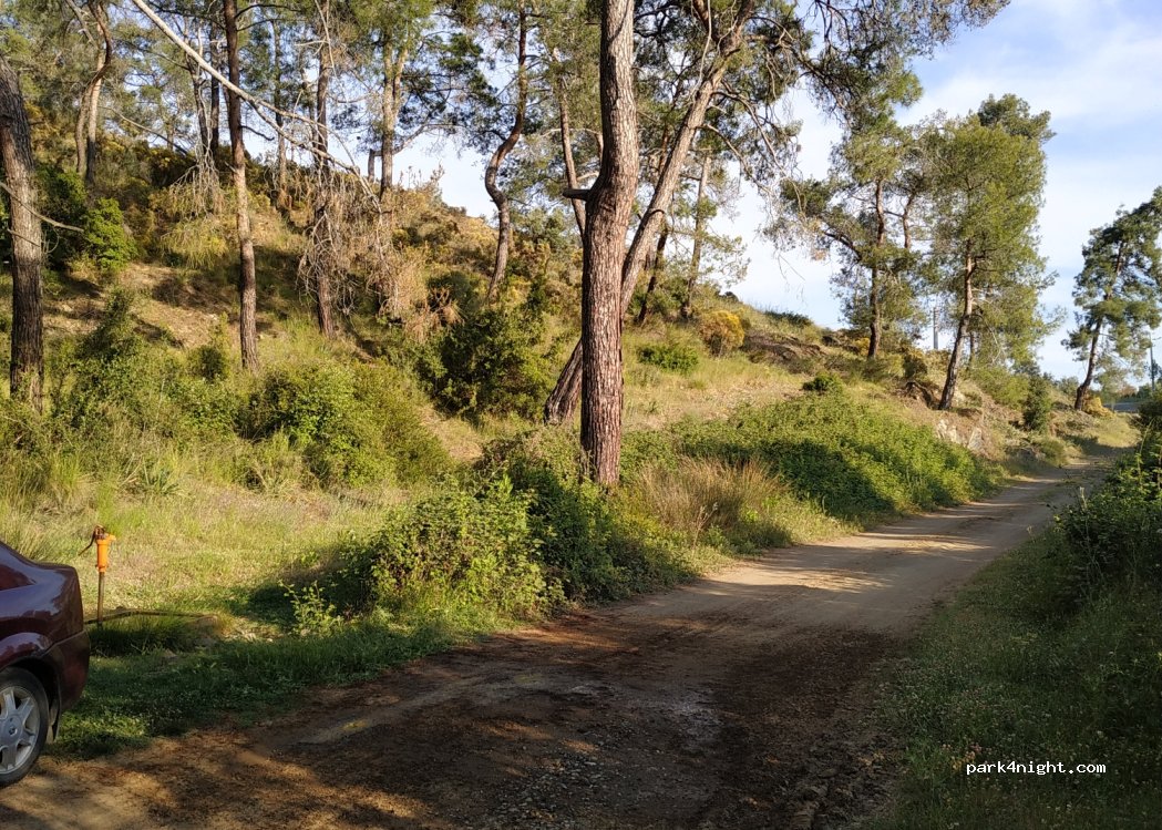 (48300) Yaniklar - karaot mevkii no 31/a — foto 2