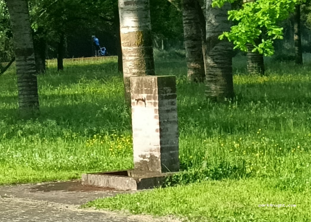 (44026) Mesola - Via Frassini — foto 4