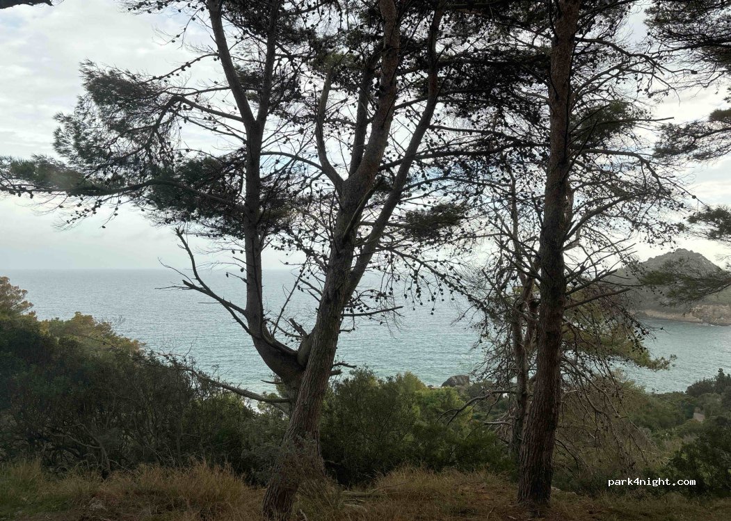 (58019) Monte Argentario - Via Panoramica — foto